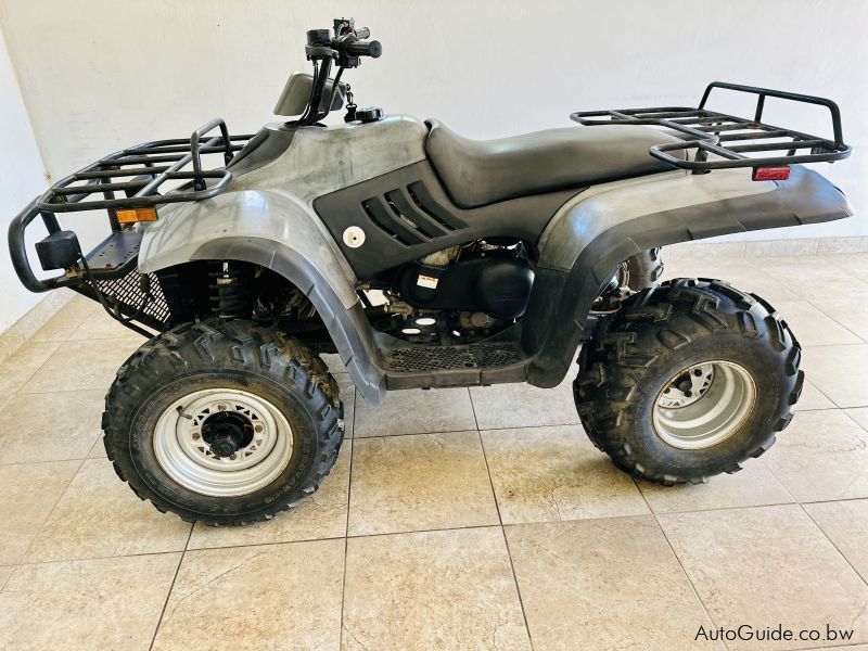 Used Linhai RUSTLER XL 260 | 2010 RUSTLER XL 260 for sale | Gaborone ...